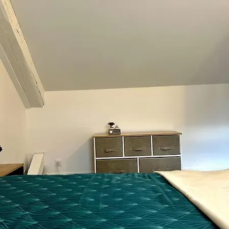 Ferienwohnung La Francaise - 85M2 Vierzon Exterior foto